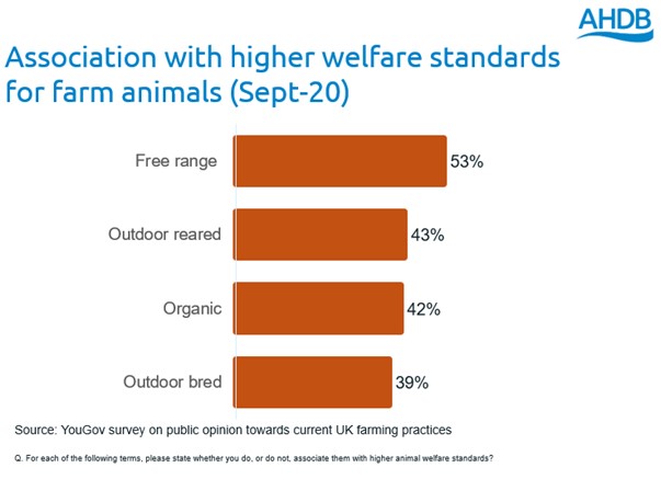 Luxury Brands 'Behind the Curve' on Animal Welfare: Report