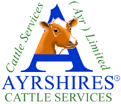Ayrshire Cattle Services