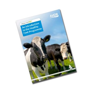 AHDB foot health resources | AHDB