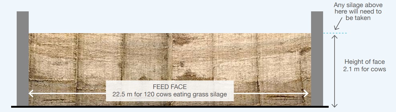 Management of a self-feed silage face. Copyright AHDB. 