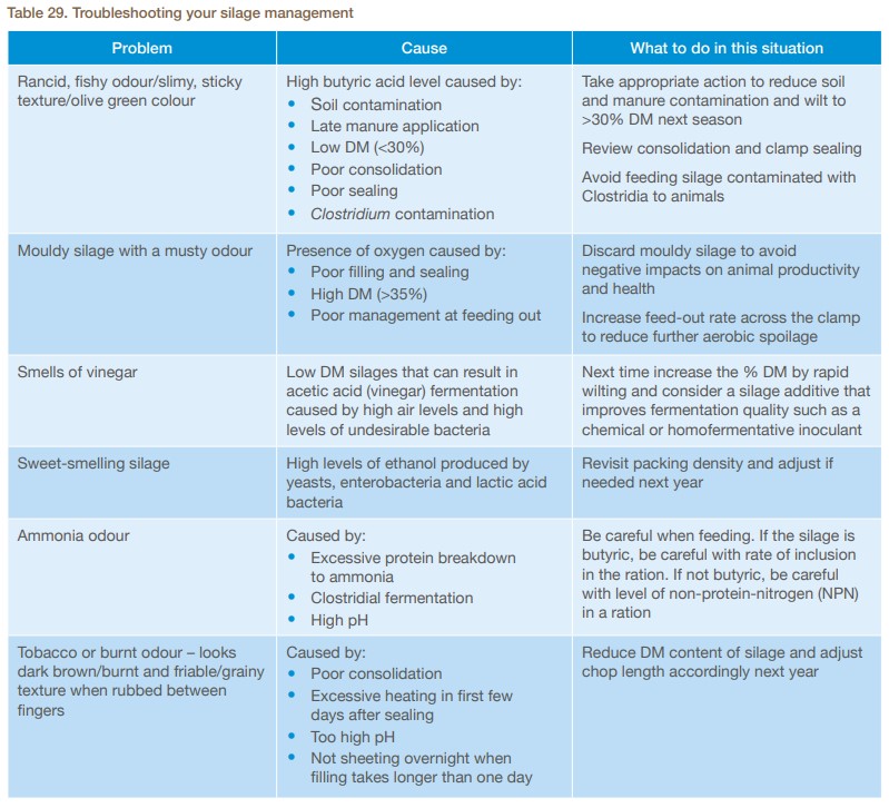 2021 Update Of The Forage First Guide 