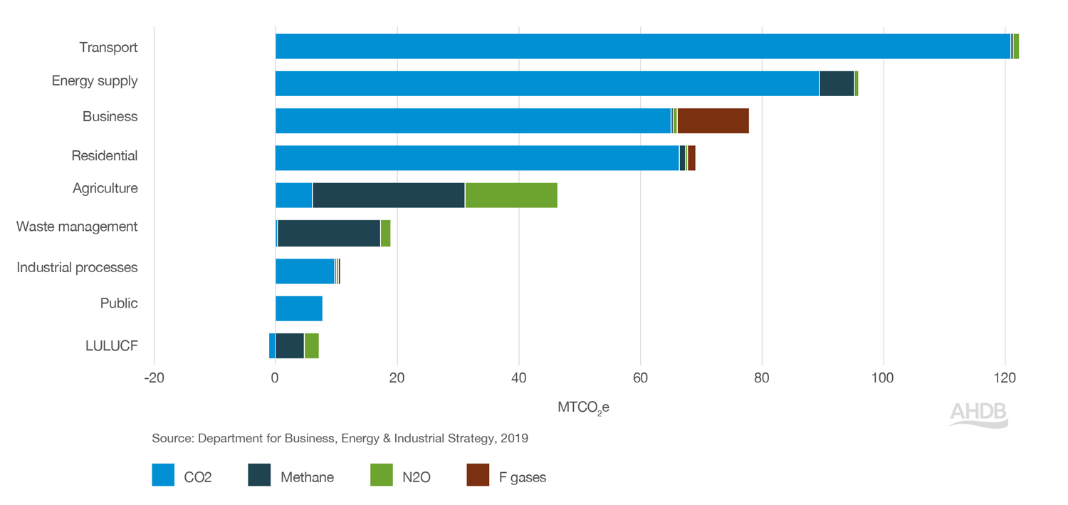 Total UK GHG emissions by gas and sector (2019). Source: Department for Business, Energy and Industrial Strategy 2019.