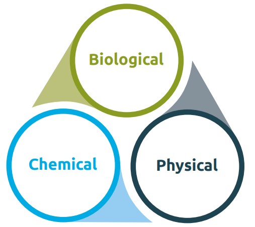 Three circles with biological, chemical and physical