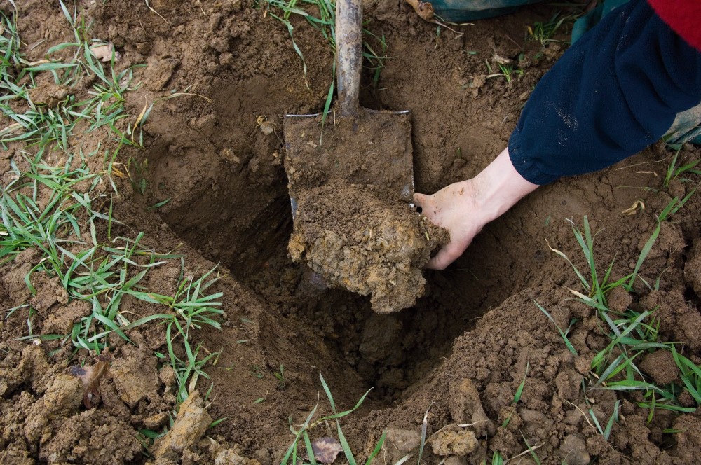 Soil Porosity And Structure 