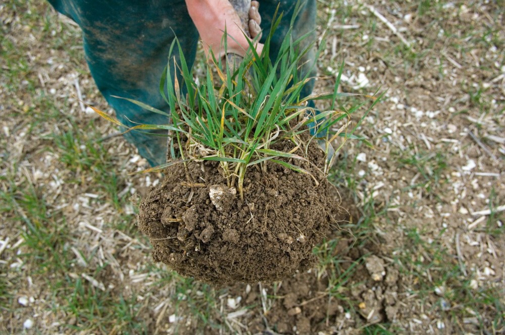 Extracted block of well-structured topsoil held in hand, with roots visible