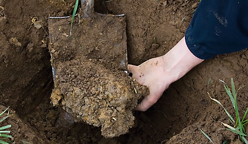 soil on a spade showing fissures