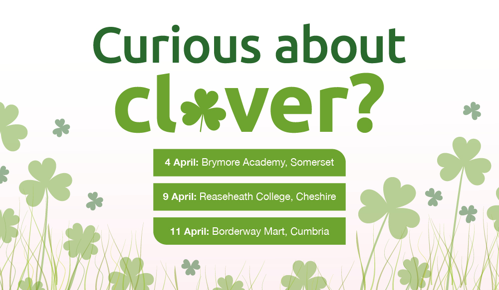 Promo graphic advertising three curious about clover events