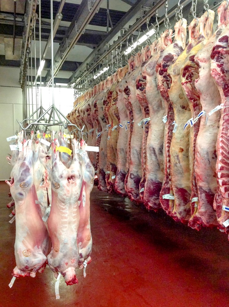 Sheep and beef carcasses hanging from hooks