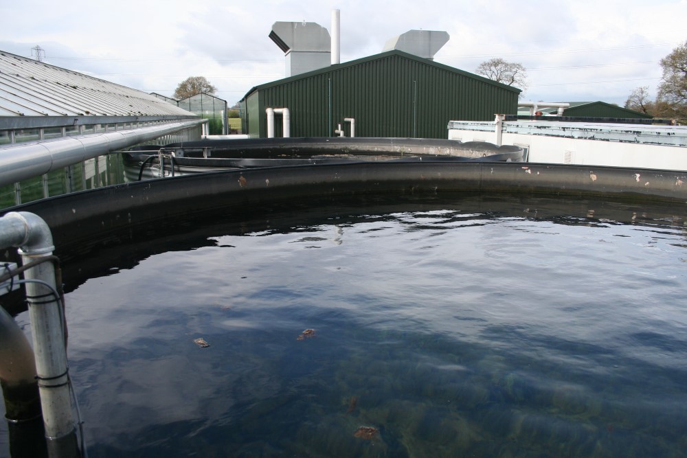 A water storage reservoir on a commercial protected cropping site. Copyright of NFU Energy