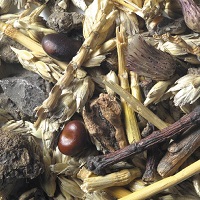 Inspecting grain for defects and impurities | AHDB