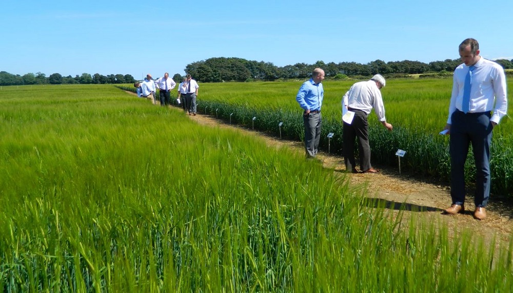 People in a field at an AHDB variety open day in Scotland.
