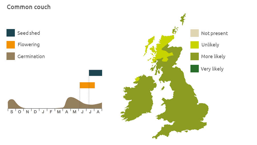 Distribution and biology of common couch in the UK | AHDB