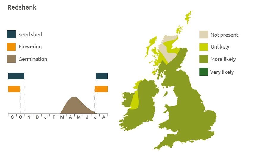Distribution and biology of redshank in the UK | AHDB