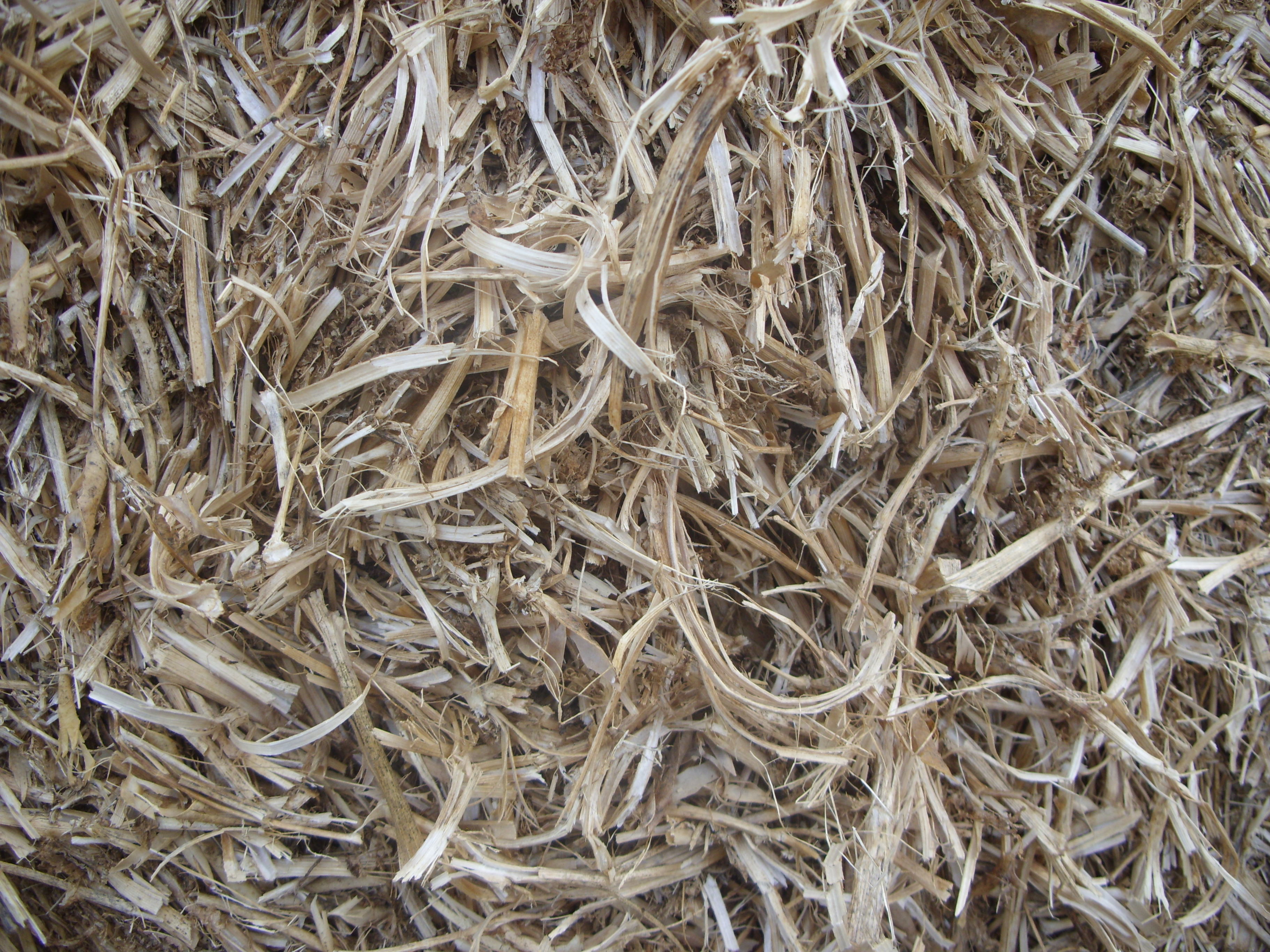 6 alternative bedding options to straw compared - Farmers Weekly