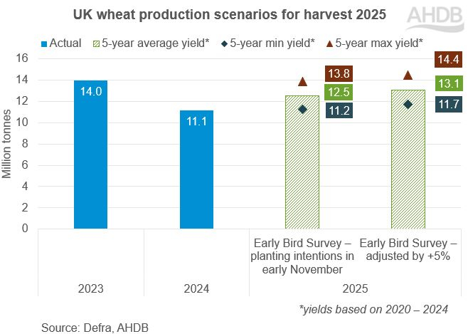 Multicoloured bar graph UK wheat production scenarios 2025.