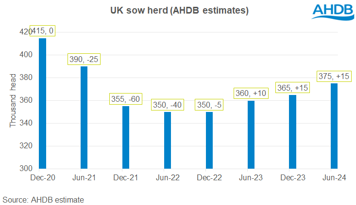chart UK pig breeding herd
