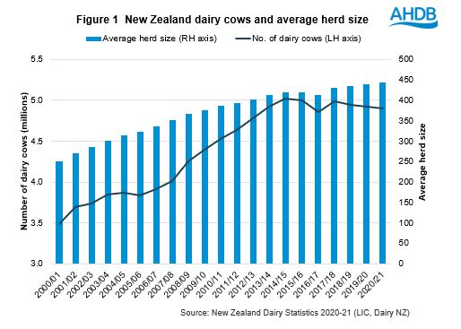 New Zealand dairy cows and average herd size