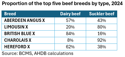 Beef market update: Beef from the dairy herd continued to bolster ...