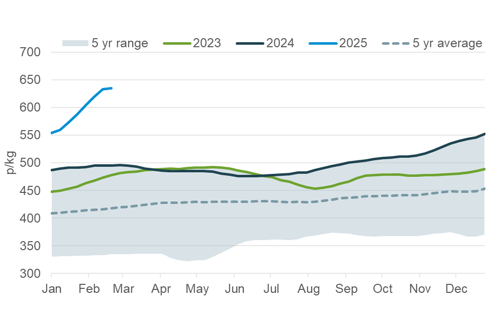 Weekly cattle & sheep market wrap – 27 February 2025 | AHDB