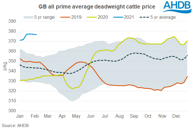 Mixed movements in GB prime cattle markets | AHDB