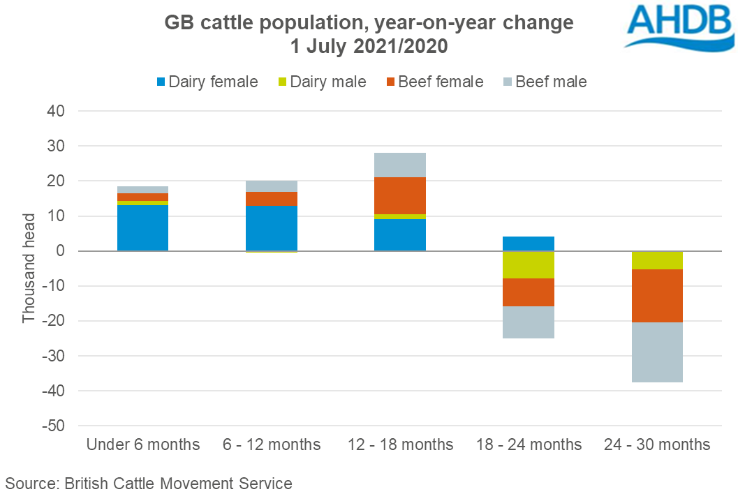 Contraction continues in GB cattle numbers | AHDB