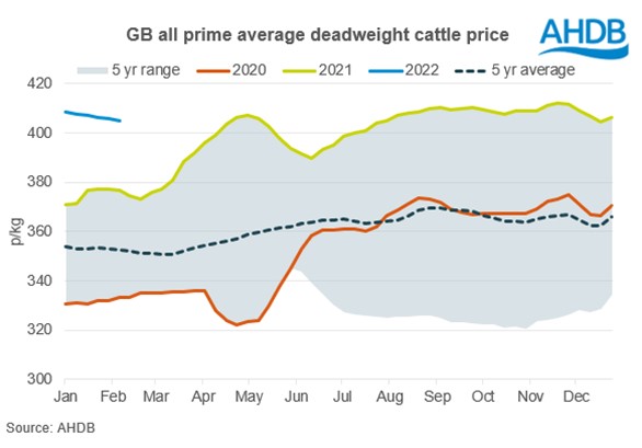 050222 GB prime cattle price