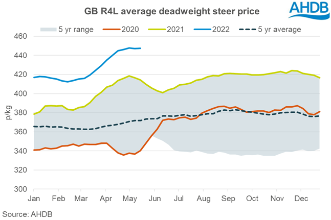 GB cattle prices remain firm | AHDB