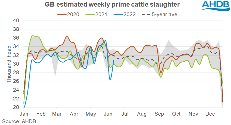 Chart showing GB cattle kill
