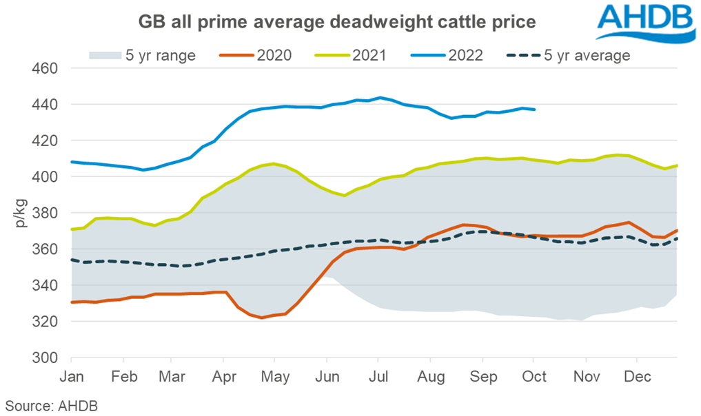 GB cattle prices remain supported through September | AHDB