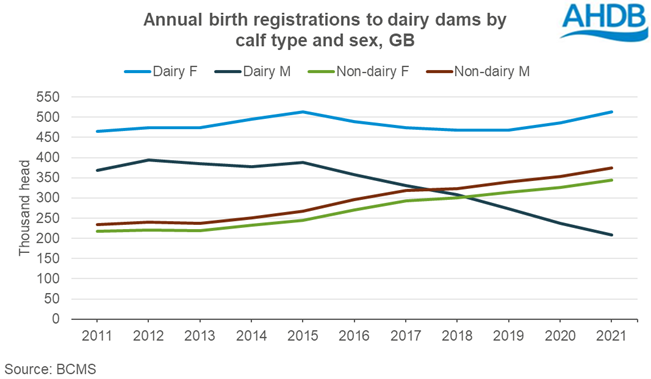 Chart showing trends in birth registrations to GB dairy dams 2011-2021