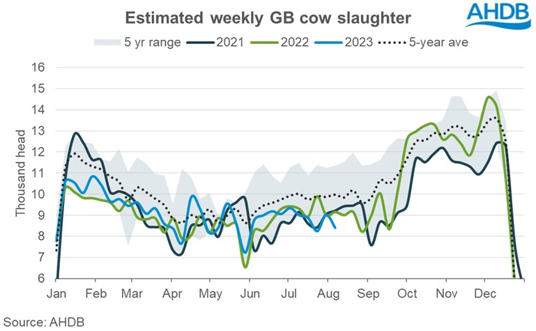 estimated gb cow slaughter graph