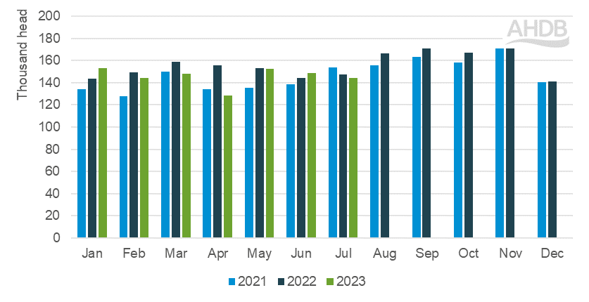 Chart showing monthly Irish adult cattle kill 2021 to July 2023