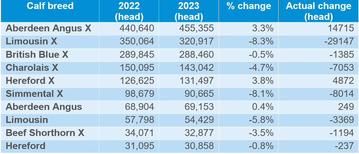 Beef market update: how have beef breed registrations changed in 2023 ...
