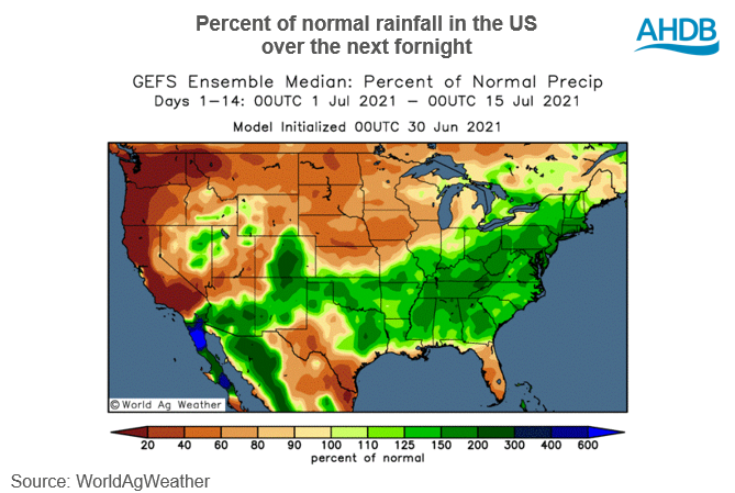 01%2007%202021%20weather%20maps.PNG