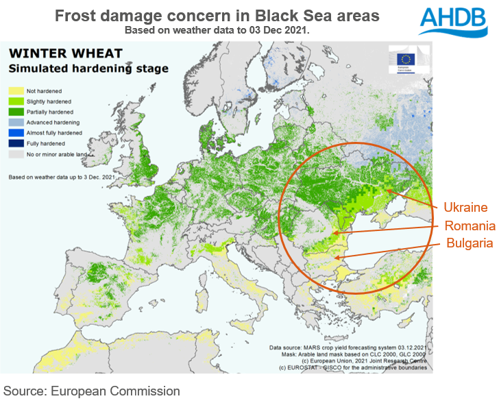 Map showing frost damage a concern in Black Sea area due to weaker wheat hardening