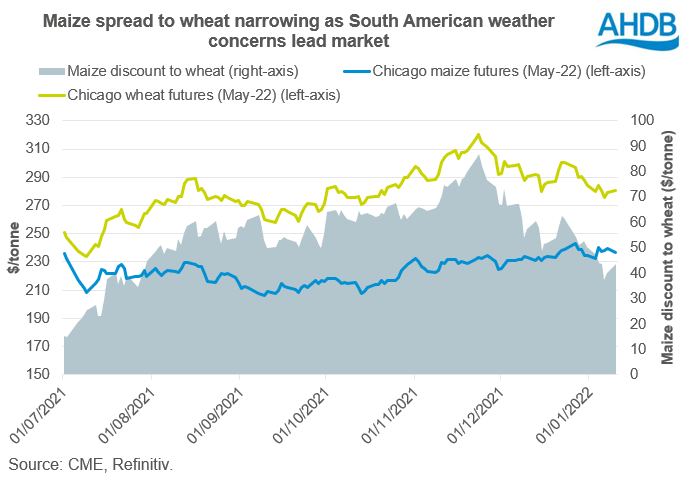 Figure showing Chicago maize and wheat futures spread narrowing