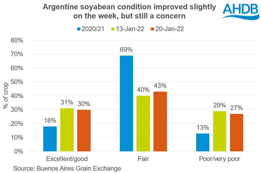 Chart of Argentine soyabean crop conditions in Jan 2022