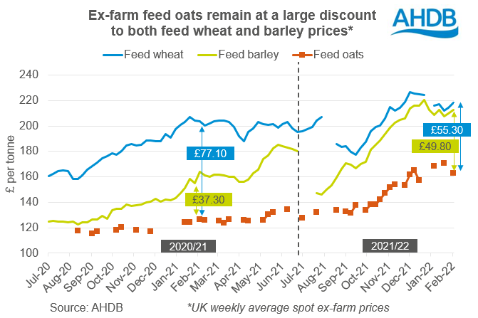 Chart showing UK ex-farm feed grain prices, with feed oats well below other grains