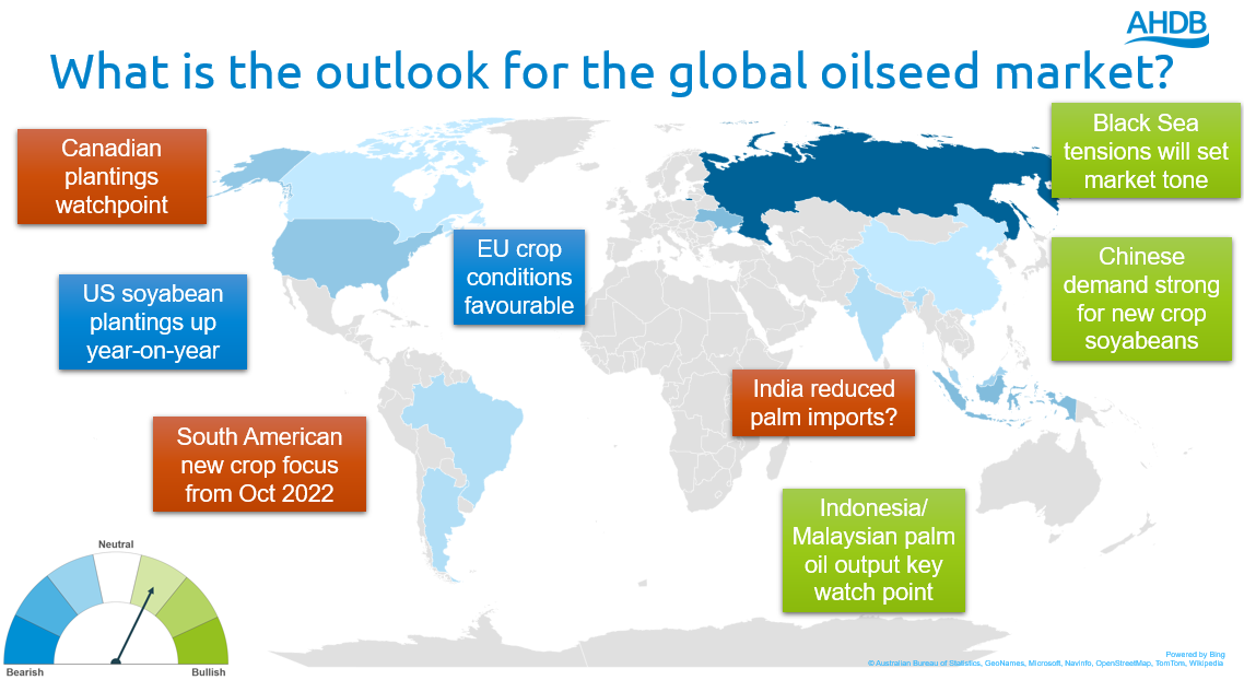 A map showing watchpoints for the global oilseed market
