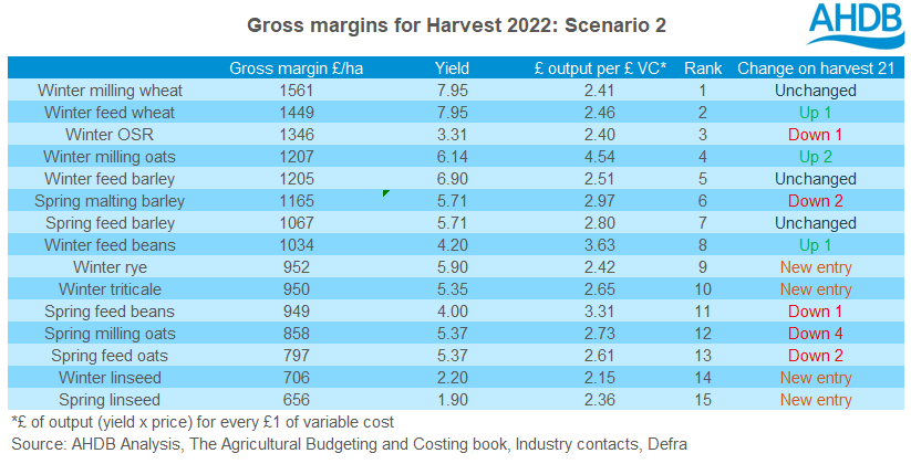 Harvest 22 gross margins scenario 2 table