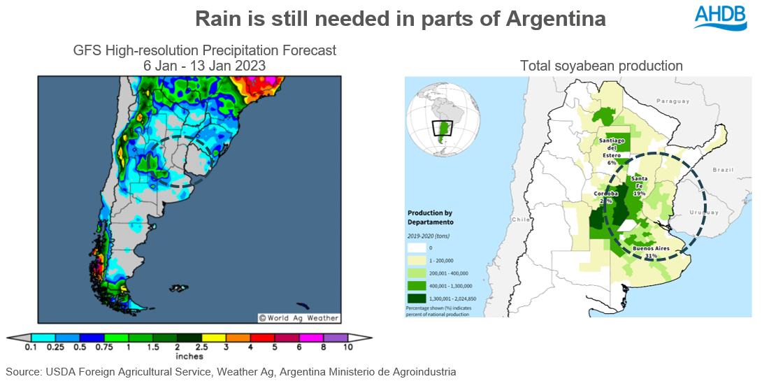 A graph showing Argentina's weather