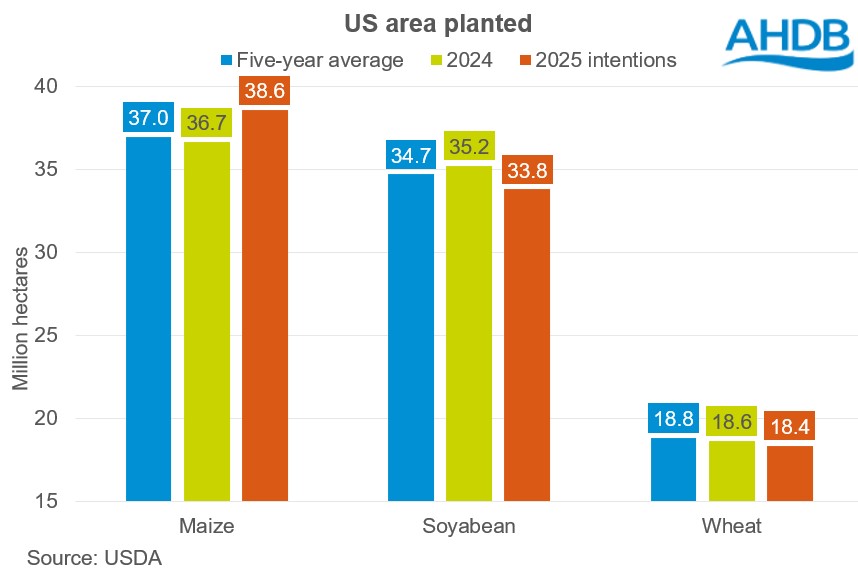 Could the US acreage decline support wheat prices? Grain market daily ...