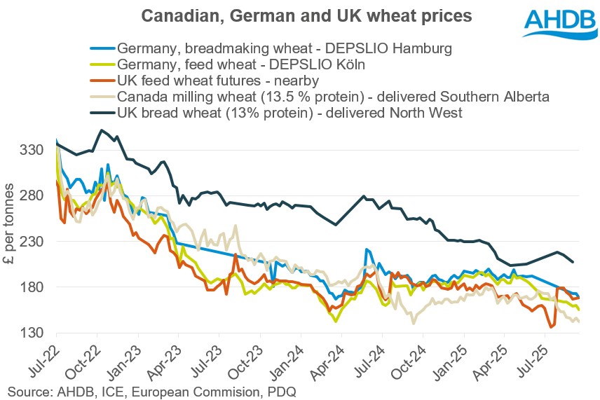 Analyst insight: UK wheat tough competition from Canada and Germany? | AHDB