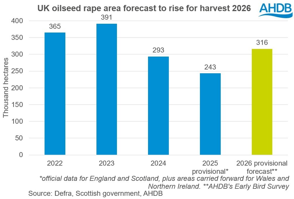 Analyst insight: OSR area rises for harvest 2026 | AHDB
