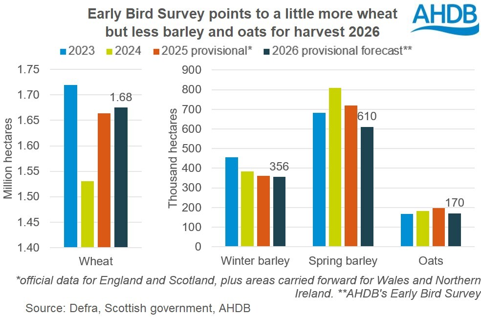 Analyst insight: OSR area rises for harvest 2026 | AHDB