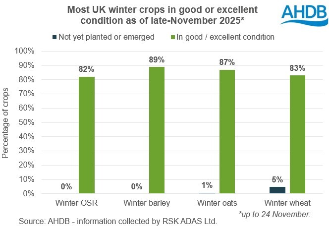 Analyst insight: Strong start for UK 2026 winter crops | AHDB