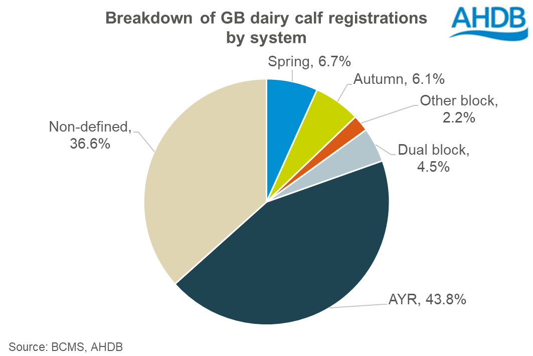 How to source calves in an autumn calf system 