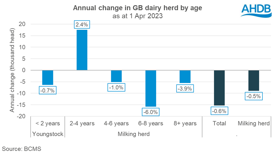 gráfico de barras que muestra el cambio anual en los grupos de edad de las hembras lecheras