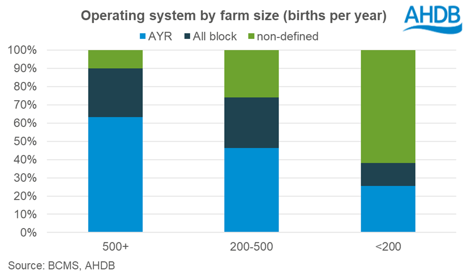 bar chart showing the proportion of farms foowing calving systems depending on their size