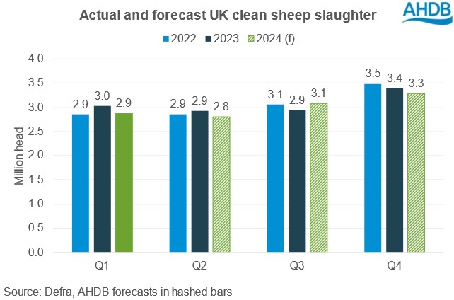 Bar chart showing estimated clean sheep kill for 2024